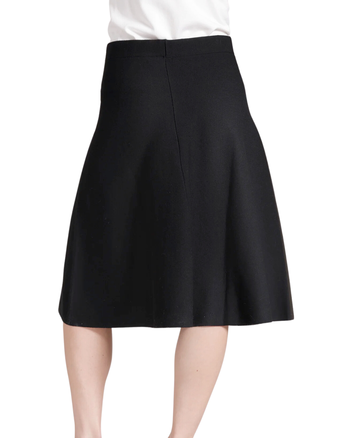 Fit &amp; Flare Skirt (Black)