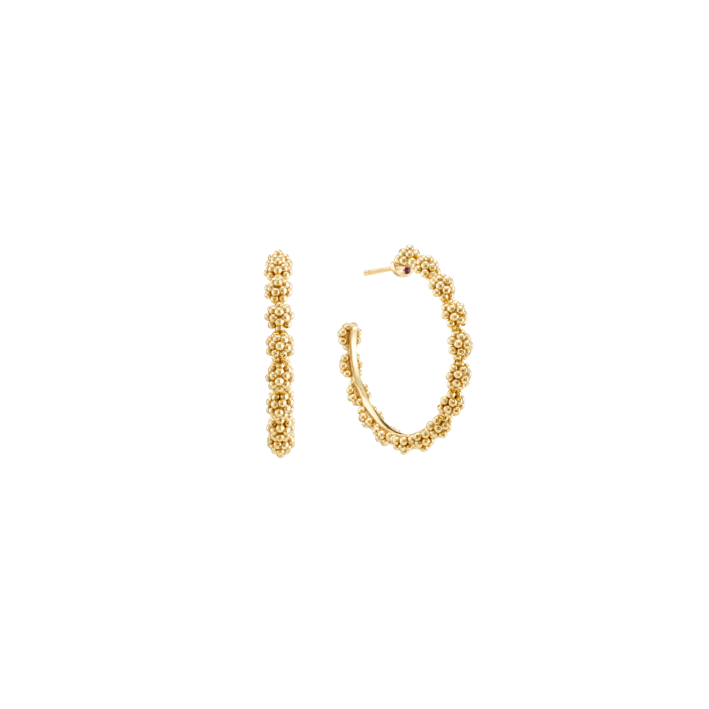 Gold hoop earrings on a white background