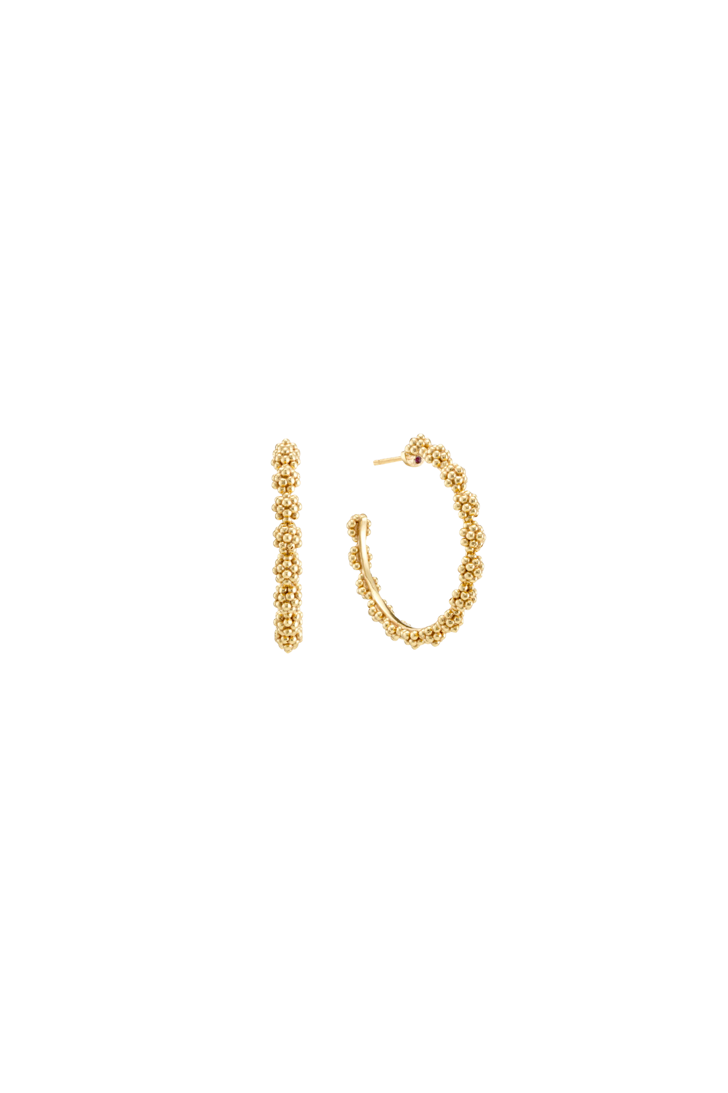 Gold hoop earrings on a white background