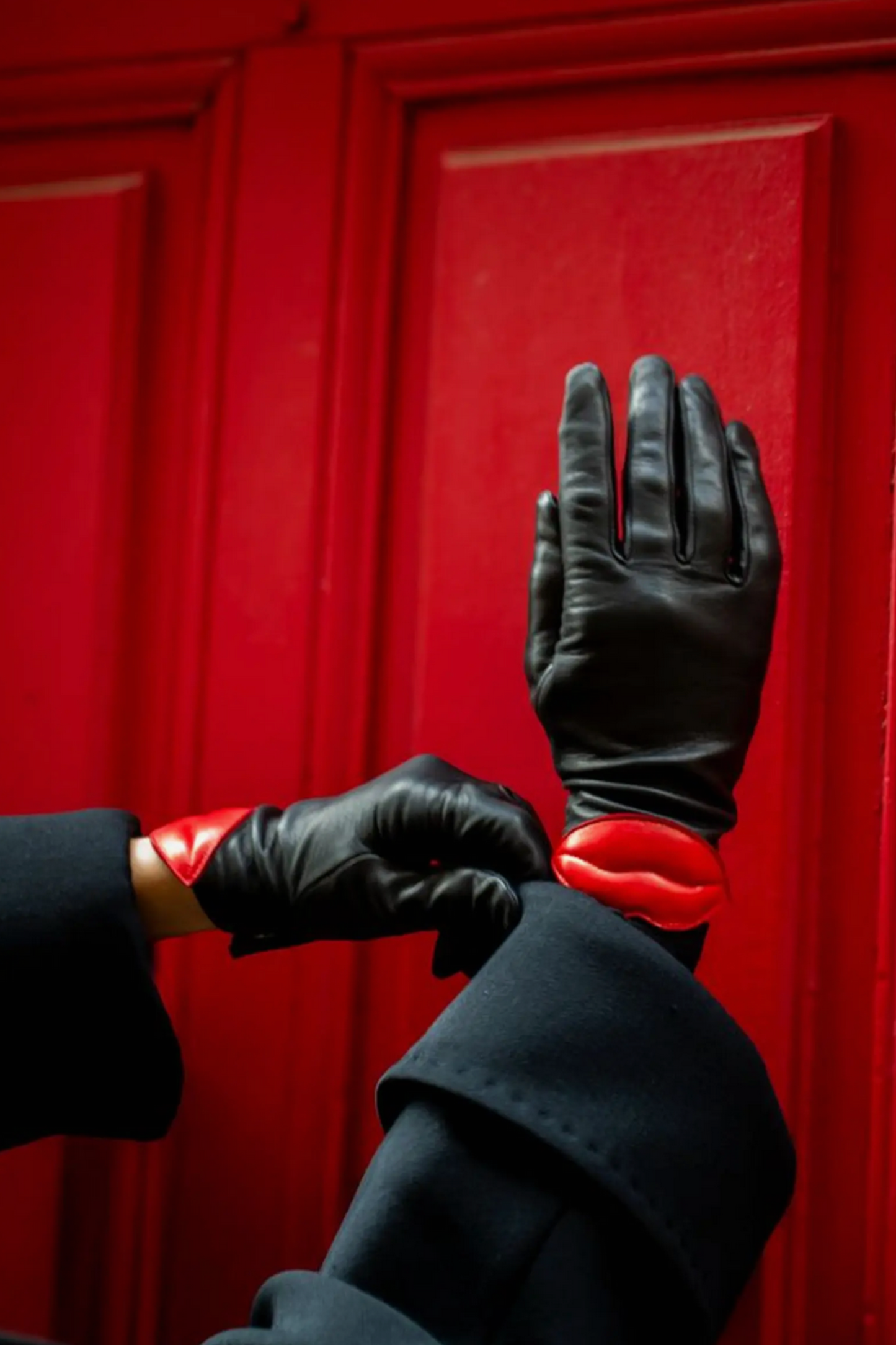 Seylma Gloves in Noir/Cardinal | Agnelle